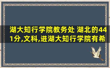 湖大知行学院教务处 湖北的441分,文科,进湖大知行学院有希望吗